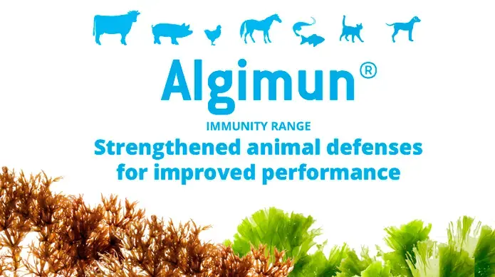 olmix-launches-algimun-2.webp