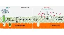 msp-mucin-chart-v2.webp